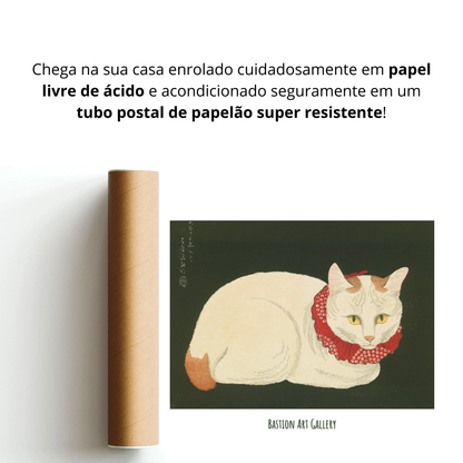 Gato Branco