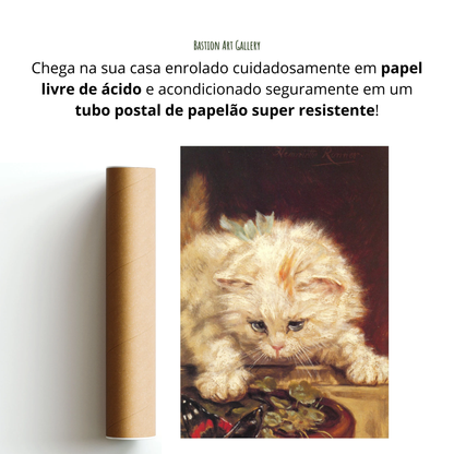 Gatinho e Borboleta