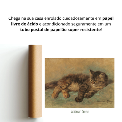 Gatinho