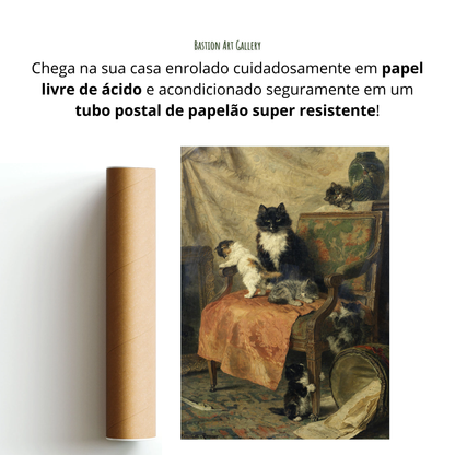 Gatinhos Brincando