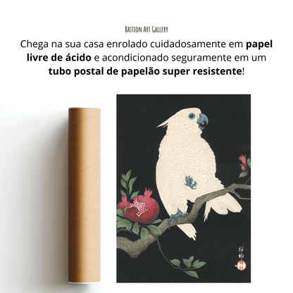 Cacatua e Romã