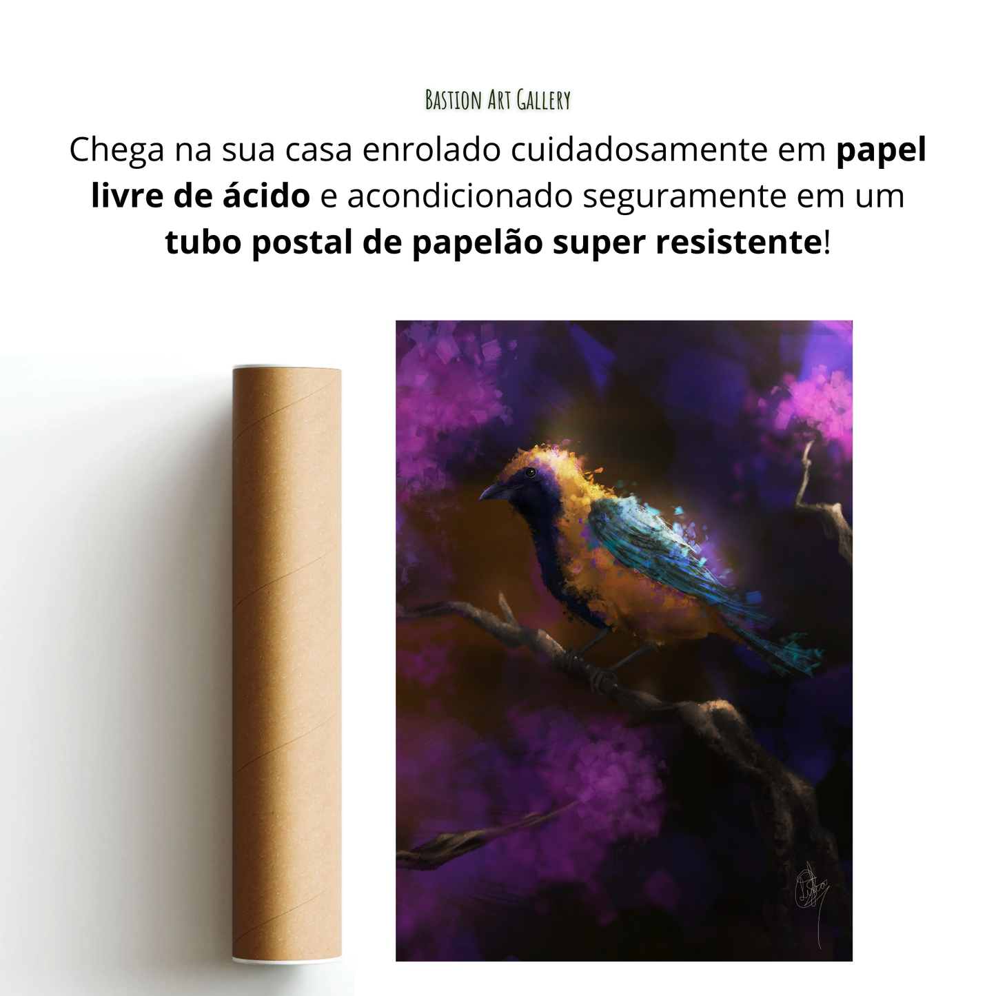 Saíras III - Saíra Amarela