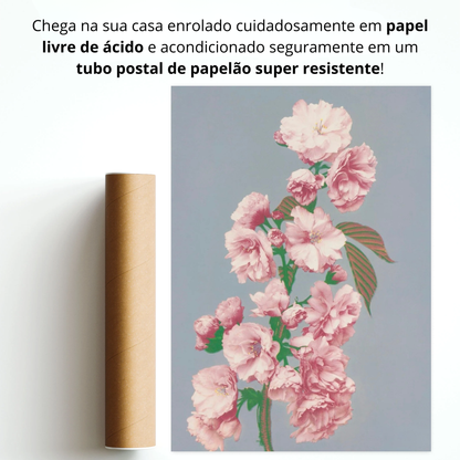 Flor de Cerejeira (Sakura)