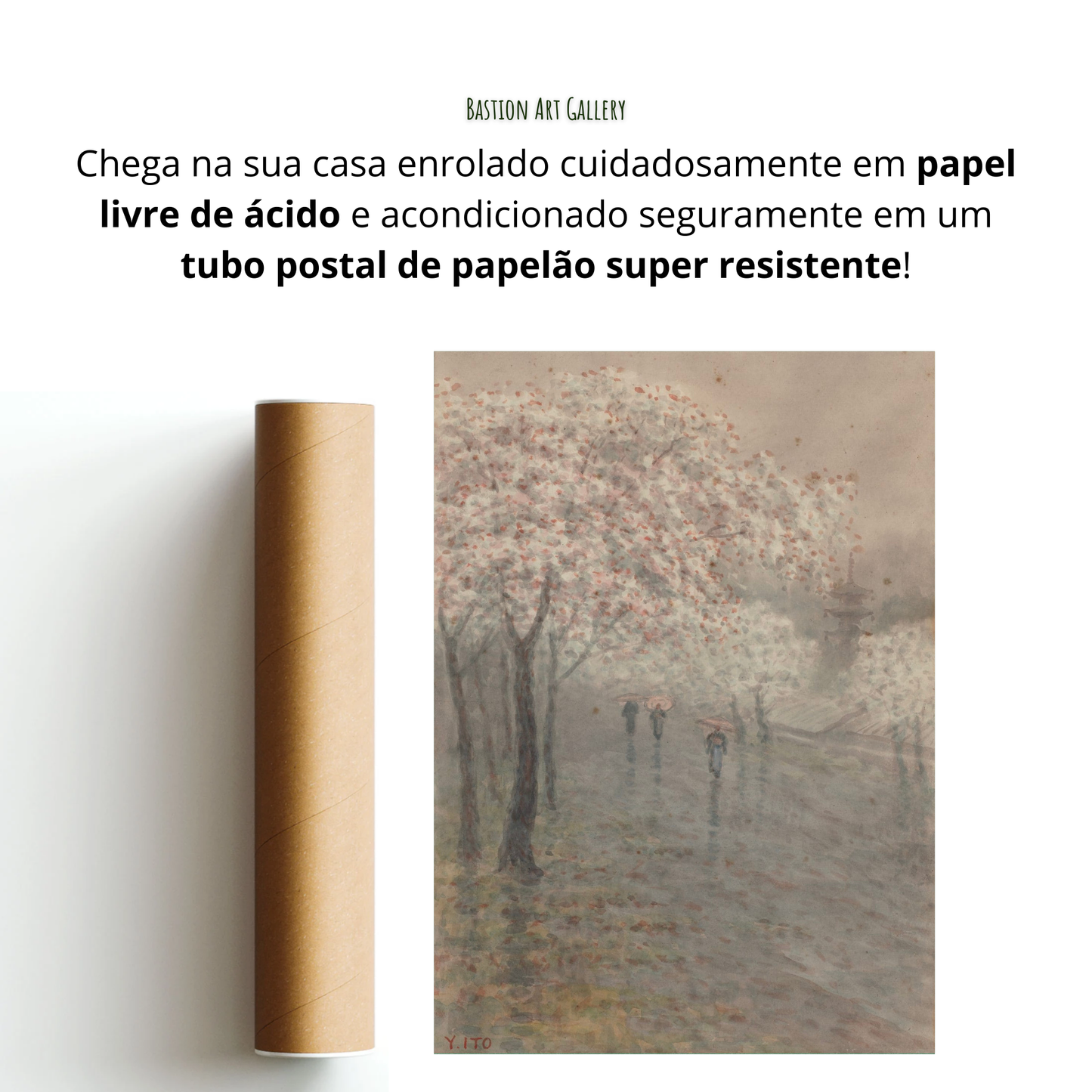 Cerejeiras na Chuva