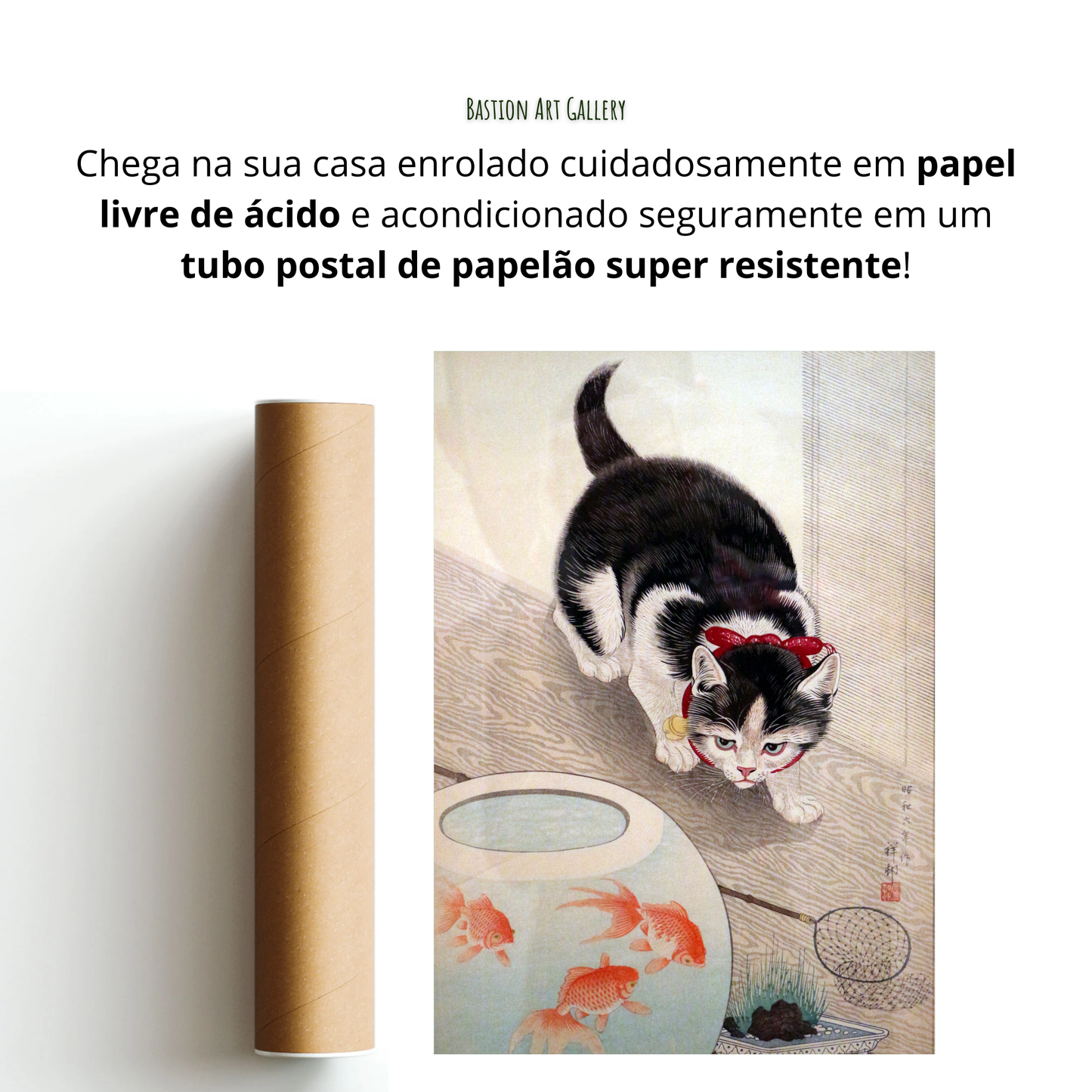 Gato e Peixes Dourados