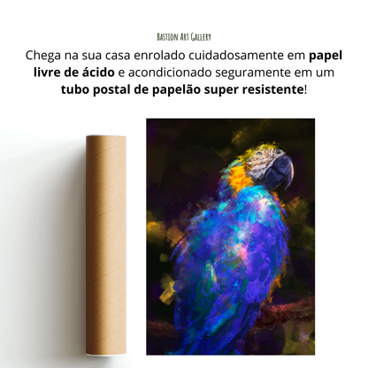 Arara Canindé