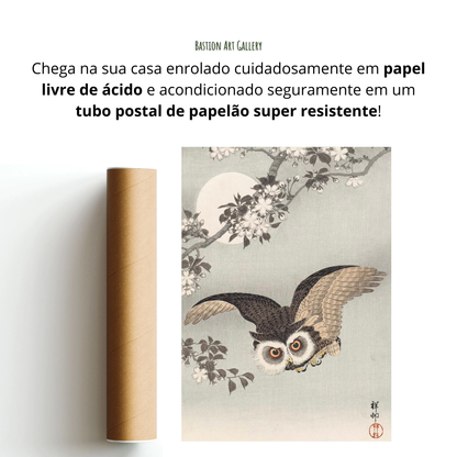 Coruja, Cerejeiras e Lua
