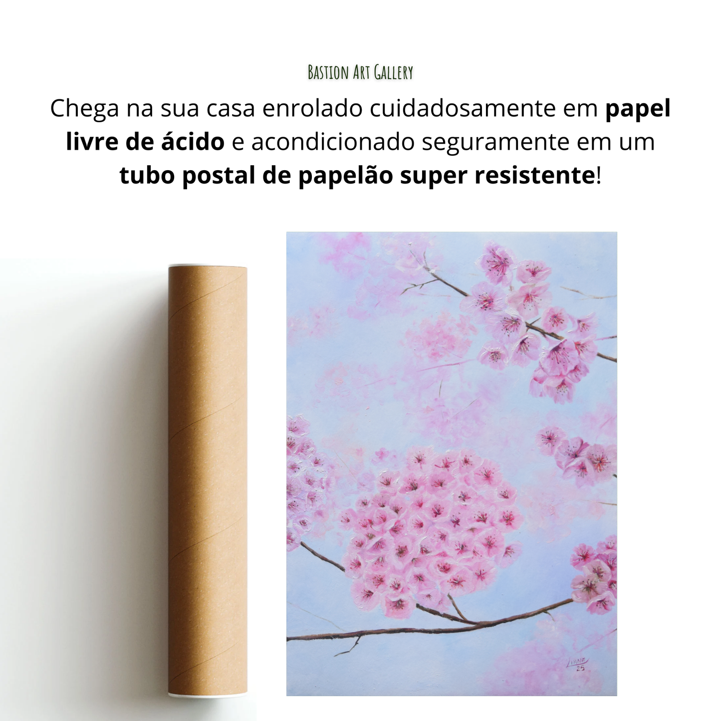 Entre flores de cerejeira II