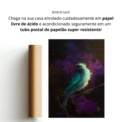 Saíras I - Saí Andorinha