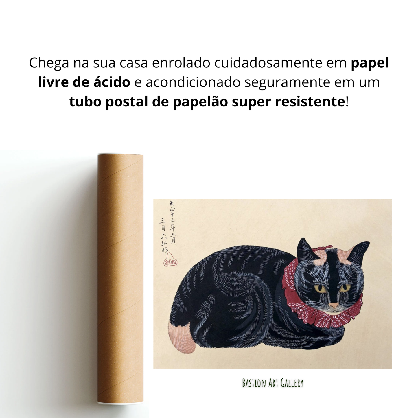 Gato Preto